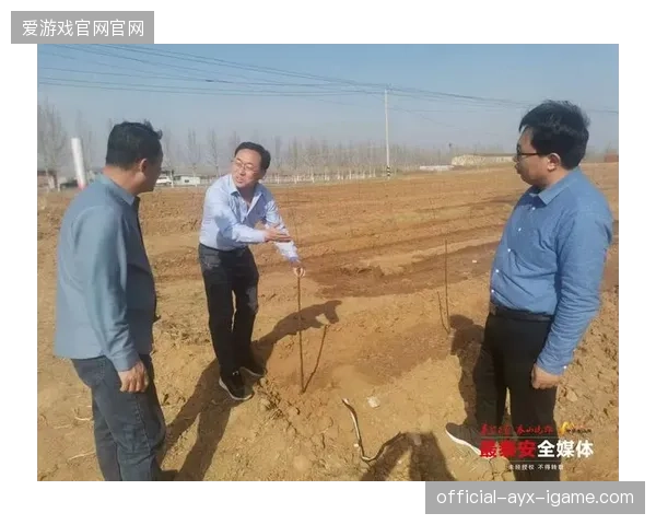 泰山换血或见成效：新举措助力品牌焕发新生